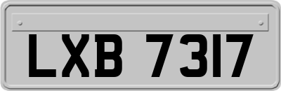 LXB7317