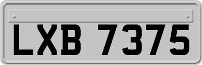 LXB7375