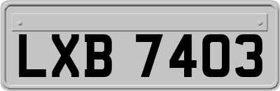LXB7403