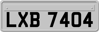 LXB7404