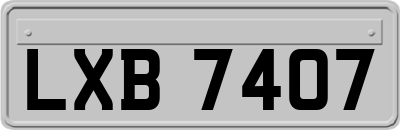 LXB7407