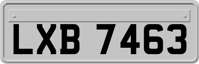 LXB7463