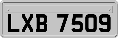 LXB7509