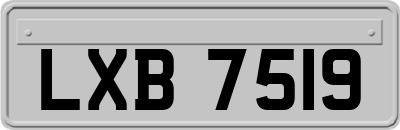 LXB7519