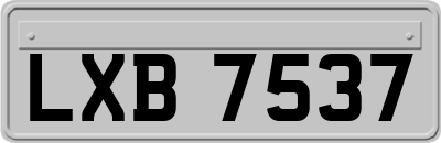 LXB7537