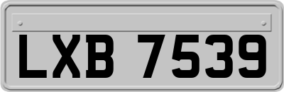 LXB7539