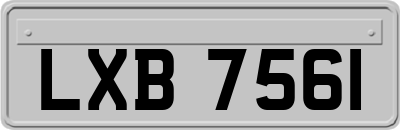 LXB7561
