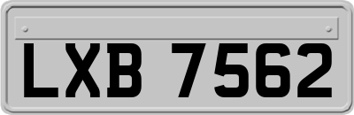 LXB7562