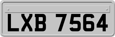 LXB7564