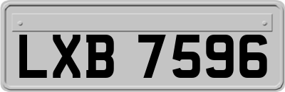 LXB7596