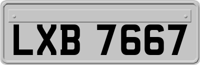 LXB7667