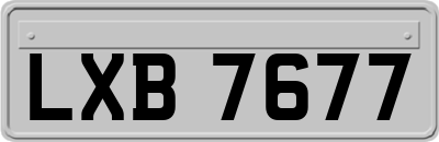 LXB7677