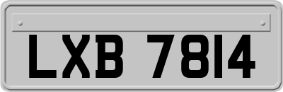 LXB7814