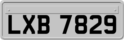 LXB7829