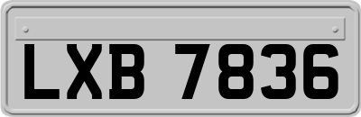 LXB7836