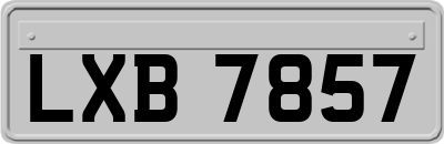 LXB7857