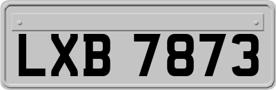 LXB7873