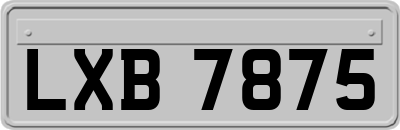 LXB7875