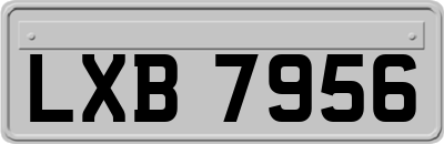LXB7956
