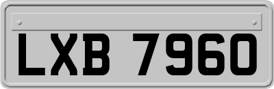 LXB7960