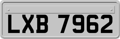 LXB7962