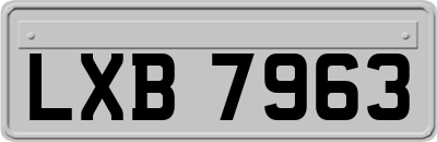 LXB7963