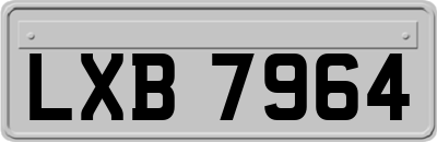 LXB7964