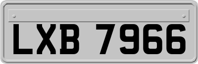 LXB7966