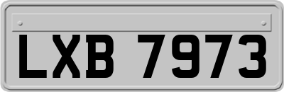 LXB7973