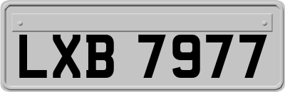 LXB7977