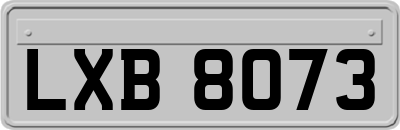 LXB8073
