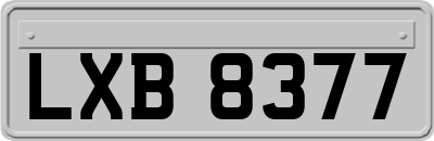 LXB8377