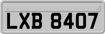 LXB8407
