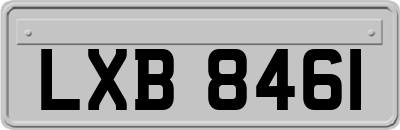 LXB8461