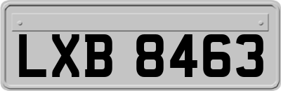 LXB8463