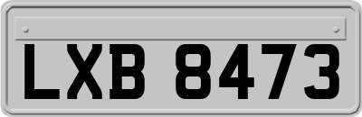 LXB8473