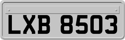 LXB8503