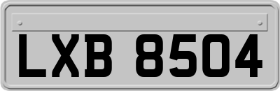 LXB8504