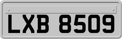 LXB8509