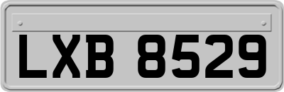 LXB8529