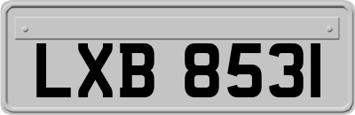 LXB8531