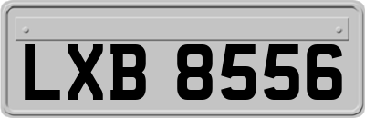 LXB8556