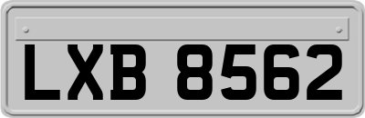 LXB8562