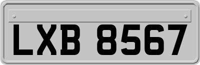 LXB8567
