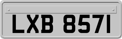 LXB8571