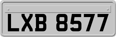LXB8577