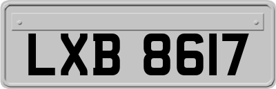 LXB8617