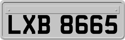 LXB8665