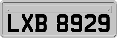 LXB8929