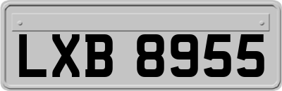 LXB8955